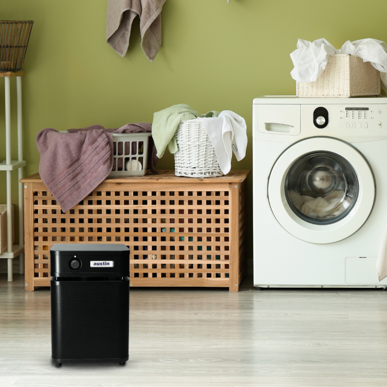 Austin Air HealthMate Junior