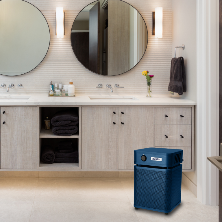 Austin Air HealthMate Junior