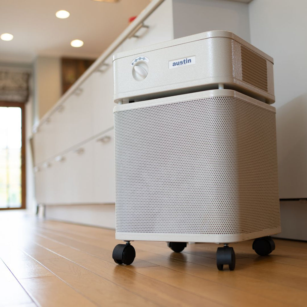 Austin Air HealthMate in Kitchen