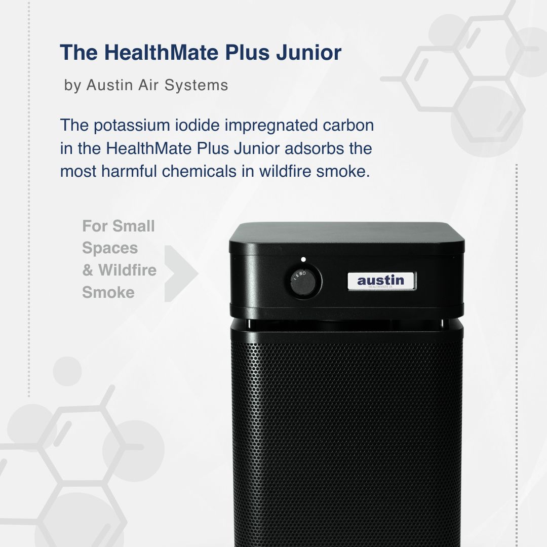 Austin Air HealthMate Plus Junior for Small Spaces and Wildfire Smoke