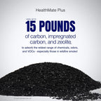 Austin Air HealthMate Plus 15 Pounds Carbon and Zeolite